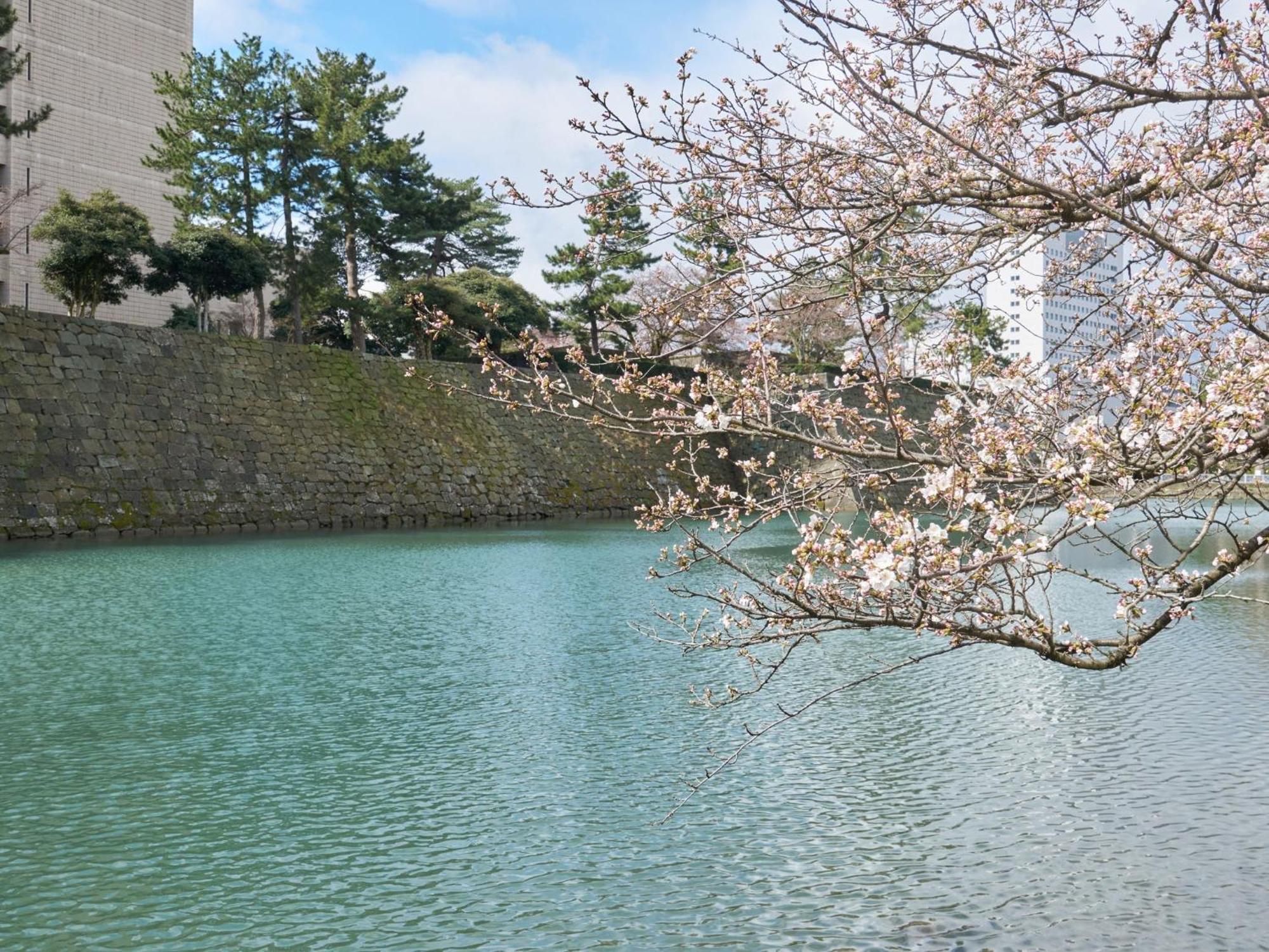 Hotel Fukui Castle - Vacation Stay 58696V Exterior foto